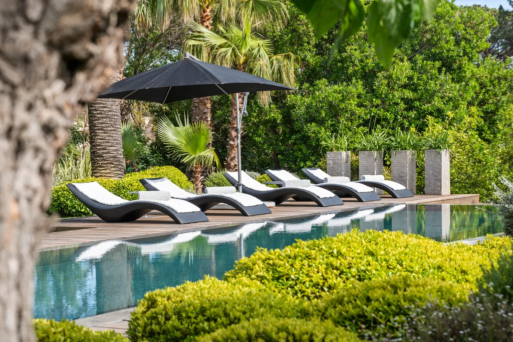 Sculptural sun-loungers lined along the pool's edge beneath a parasol and a fan palm