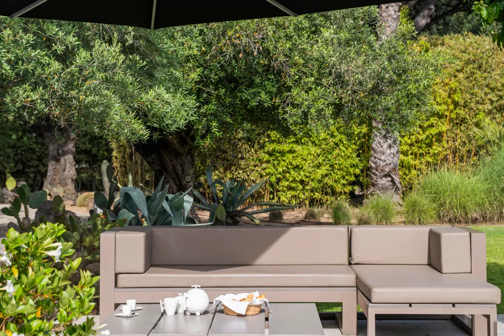 An outdoor lounge set in the garden, shaded by an olive tree and a parasol