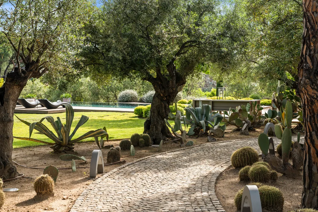 A cobbled path winding between olive trees, agaves and barrel cacti, the pool beyond