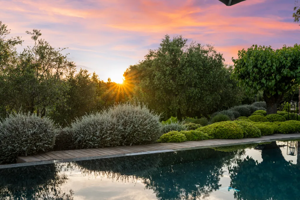 The sun setting in a starburst through the olive trees above the pool
