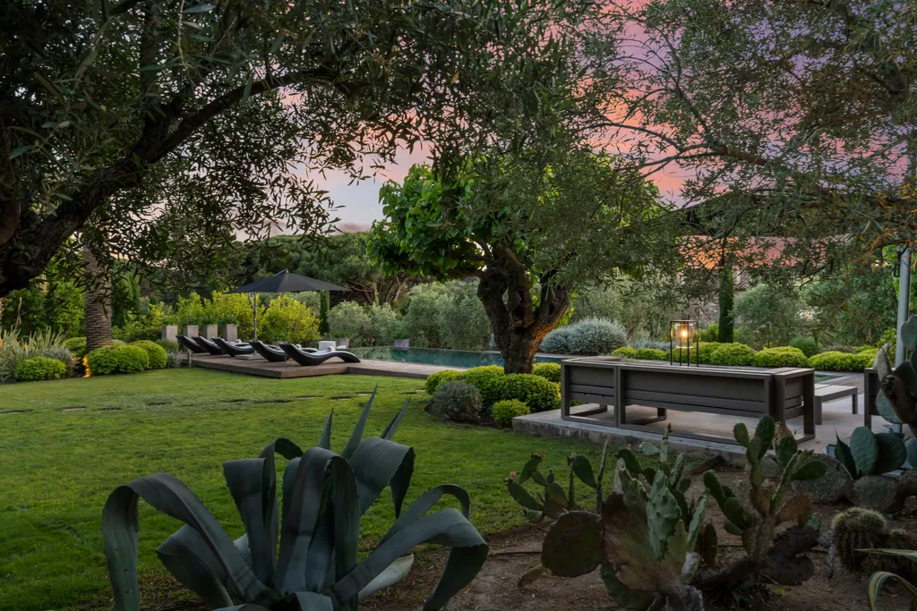 The pool and its loungers seen across the lawn at dusk, an agave in the foreground
