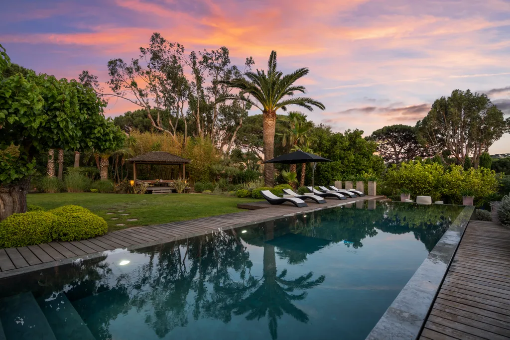 The pool at sunset beneath a fan palm, the sky streaked pink and orange