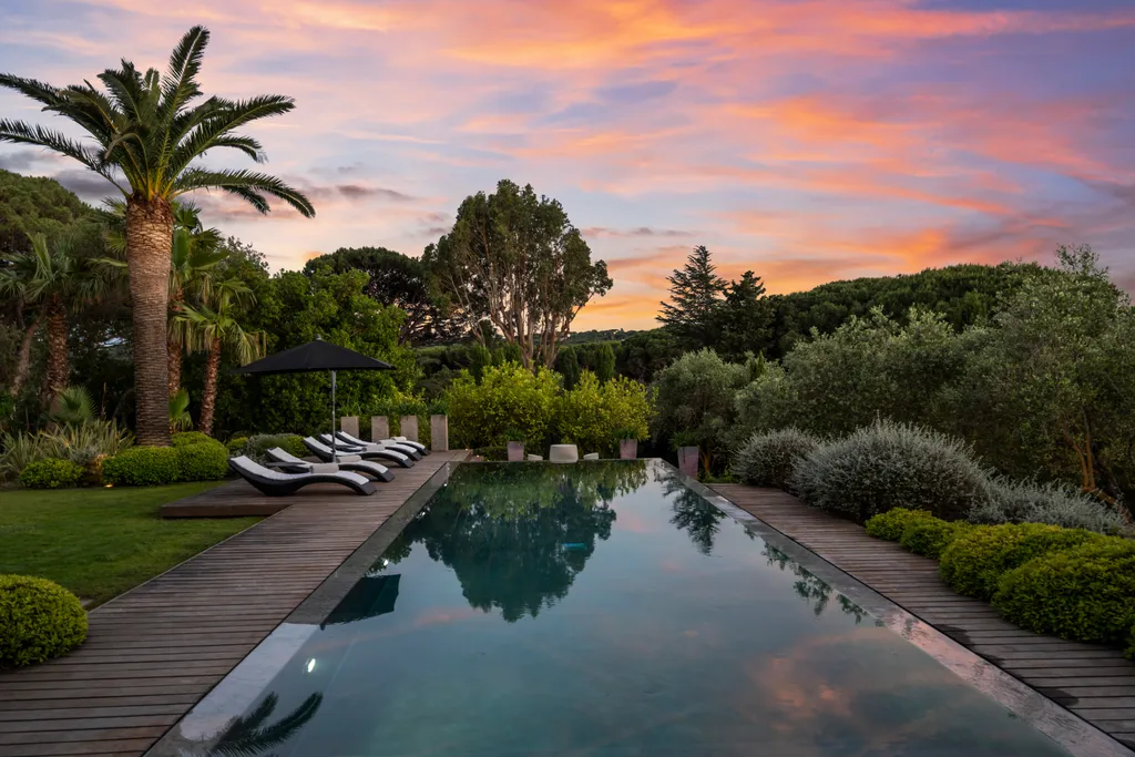 Loungers and a fan palm beside the pool under a vivid sunset sky
