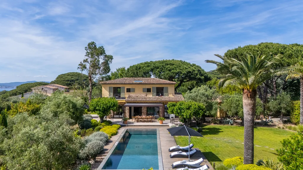 Elevated daytime view of the villa, pool and garden beneath a tall palm