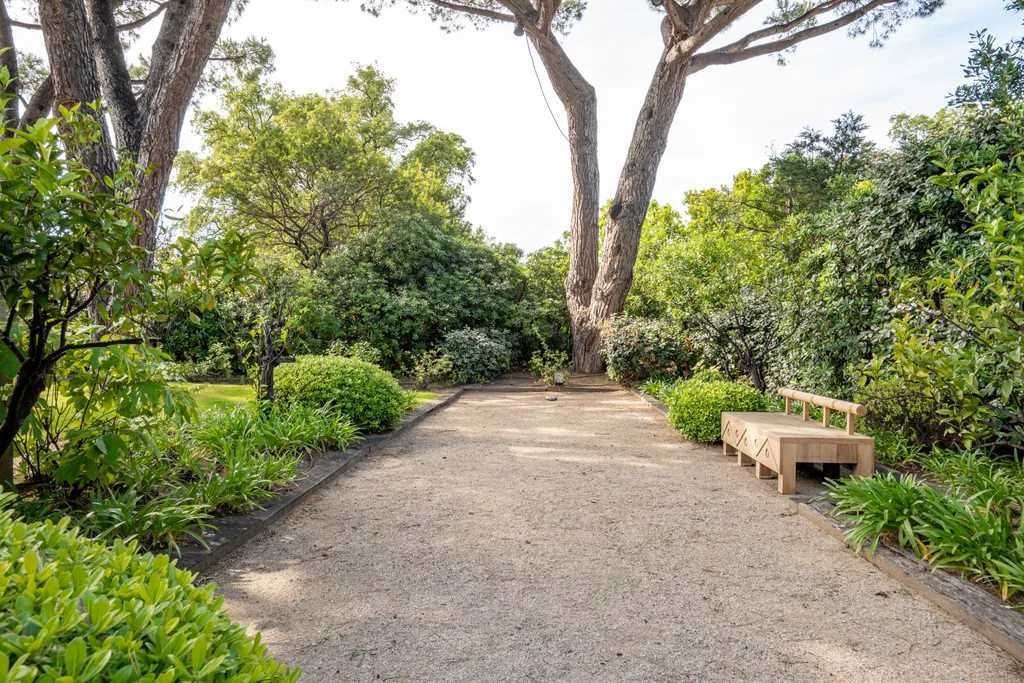 A broad gravel path beneath a parasol pine, a simple wooden bench to one side