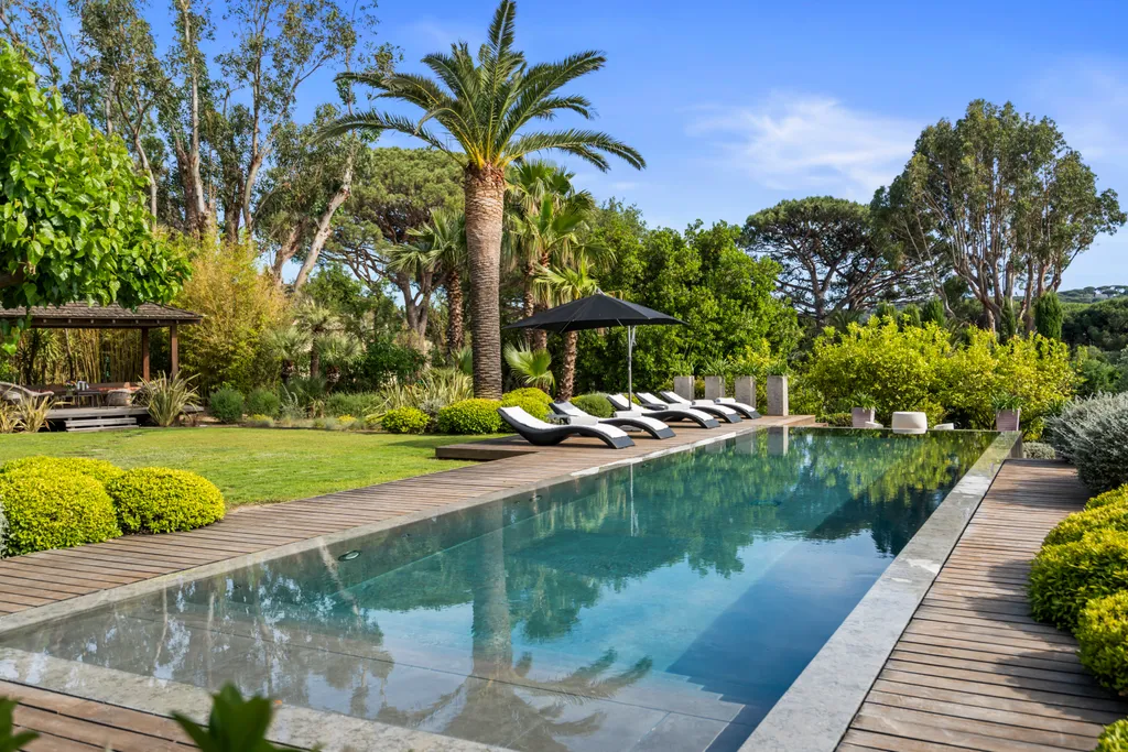 The villa's heated infinity pool stretching past loungers and a tall palm under a bright Saint-Tropez sky